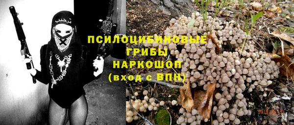 мяу мяу мука Белокуриха