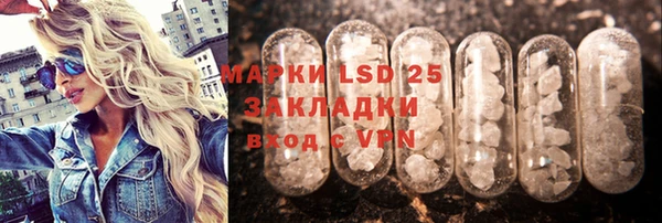 ГАЛЛЮЦИНОГЕННЫЕ ГРИБЫ Беломорск