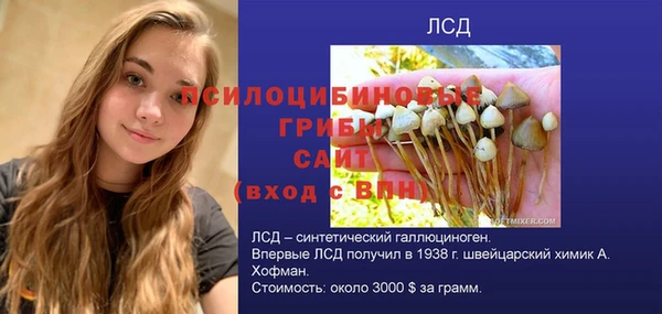 ГАЛЛЮЦИНОГЕННЫЕ ГРИБЫ Беломорск