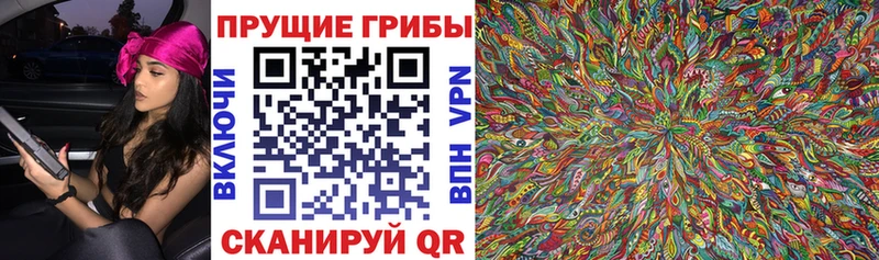 наркотики  Кондрово  Галлюциногенные грибы прущие грибы 